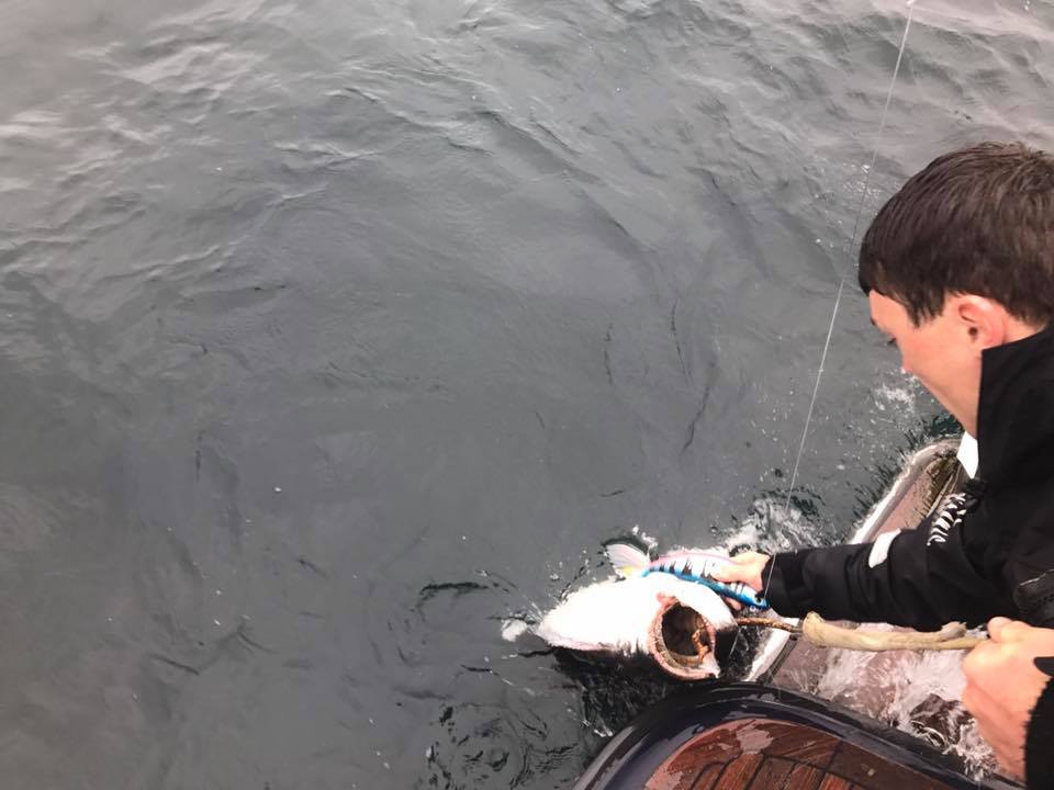 Charterboat MS Barents Explorer Pr. Day 7 Hours - Image 4