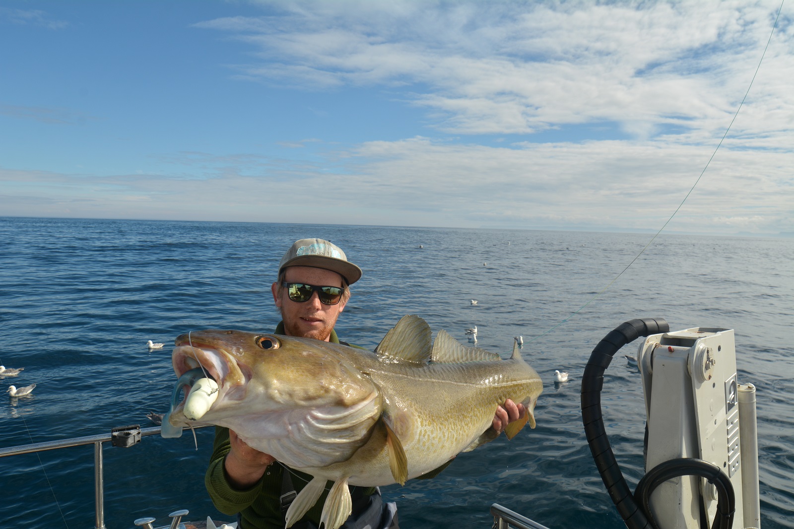 Charterboat MS Barents Explorer Pr. Day 7 Hours - Image 8