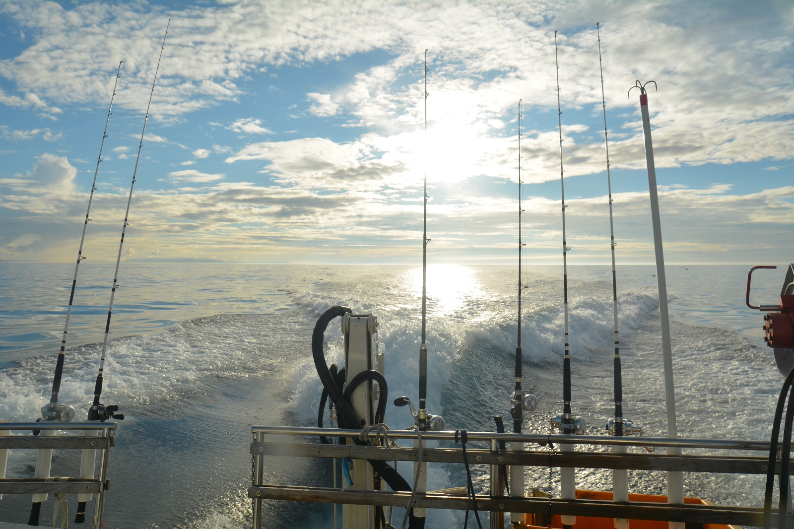 Charterboat MS Barents Explorer Pr. Day 7 Hours - Image 7