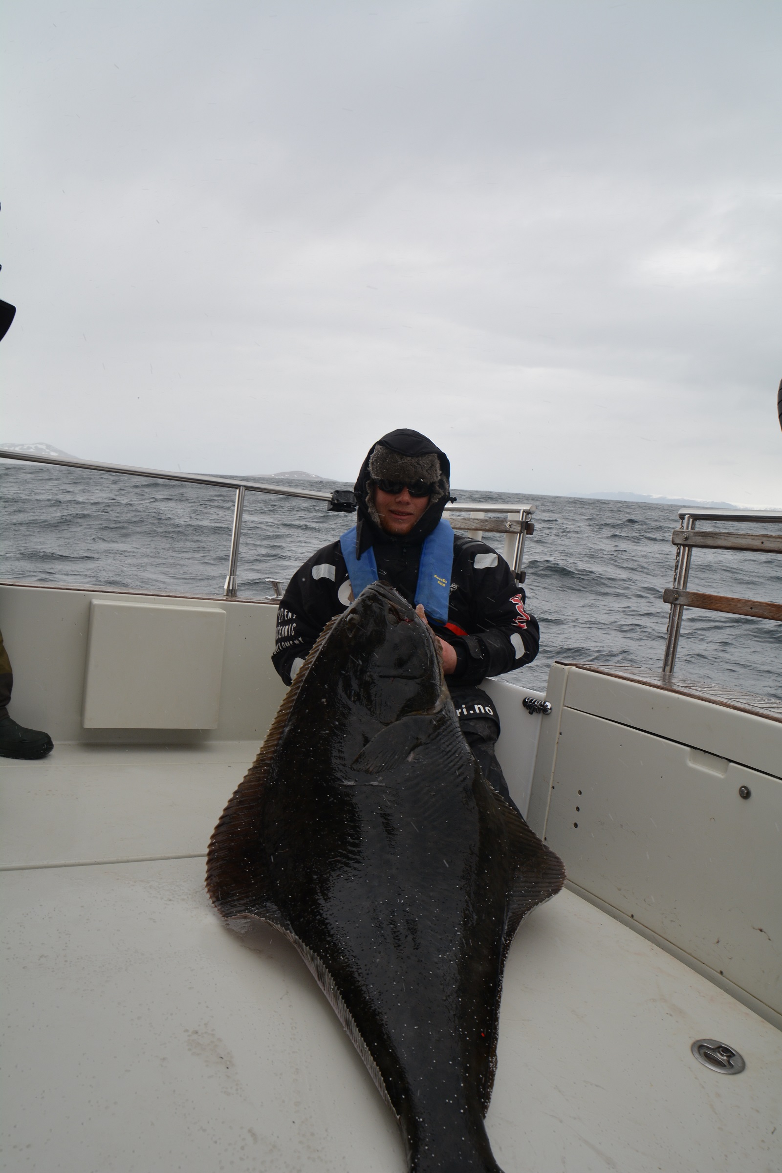 Charterboat MS Barents Explorer Pr. Day 7 Hours - Image 5