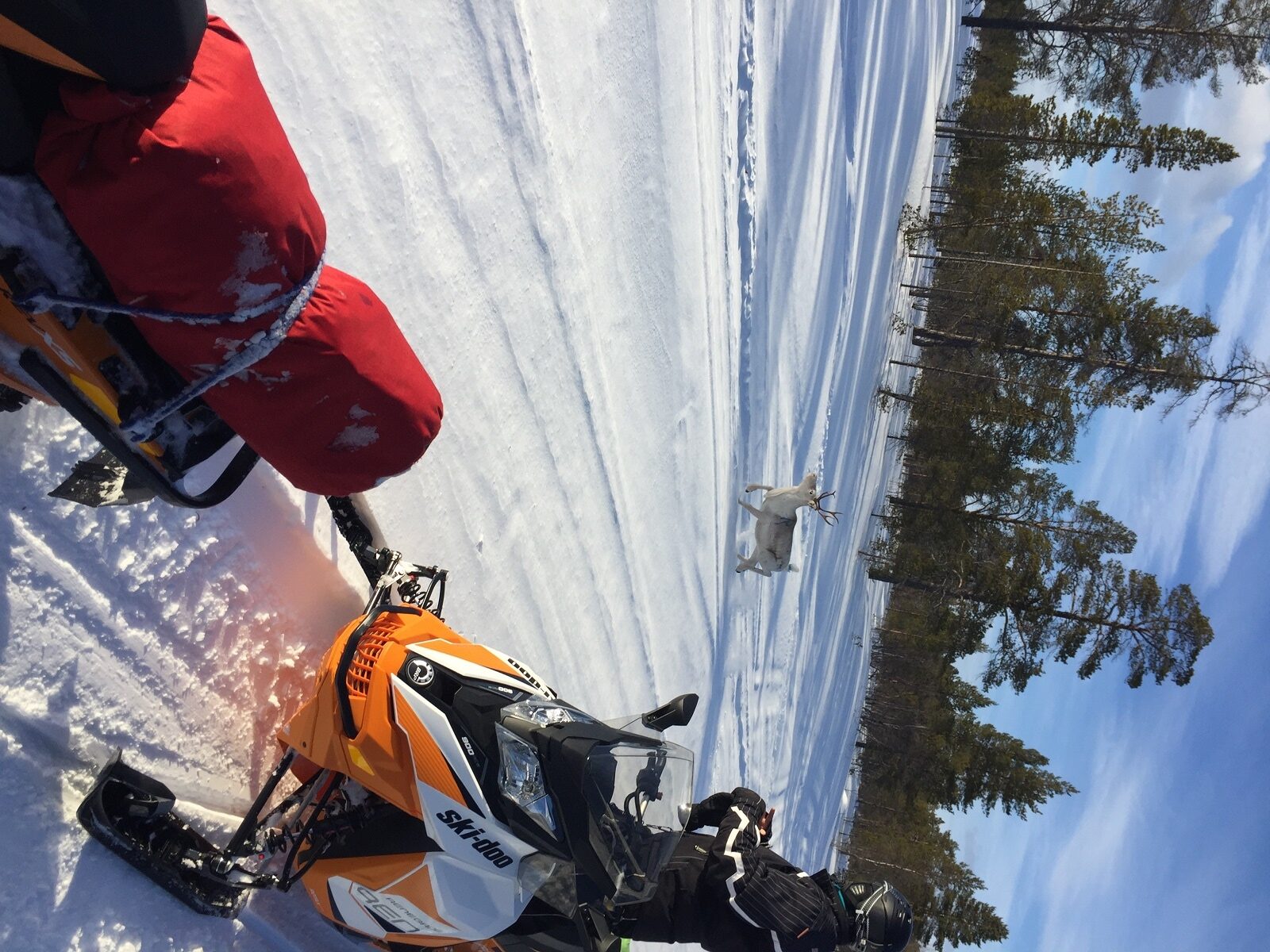 Barents Sea - Nordkyn - Finland 4 days Expedition - 4-6 Persons group - Image 3