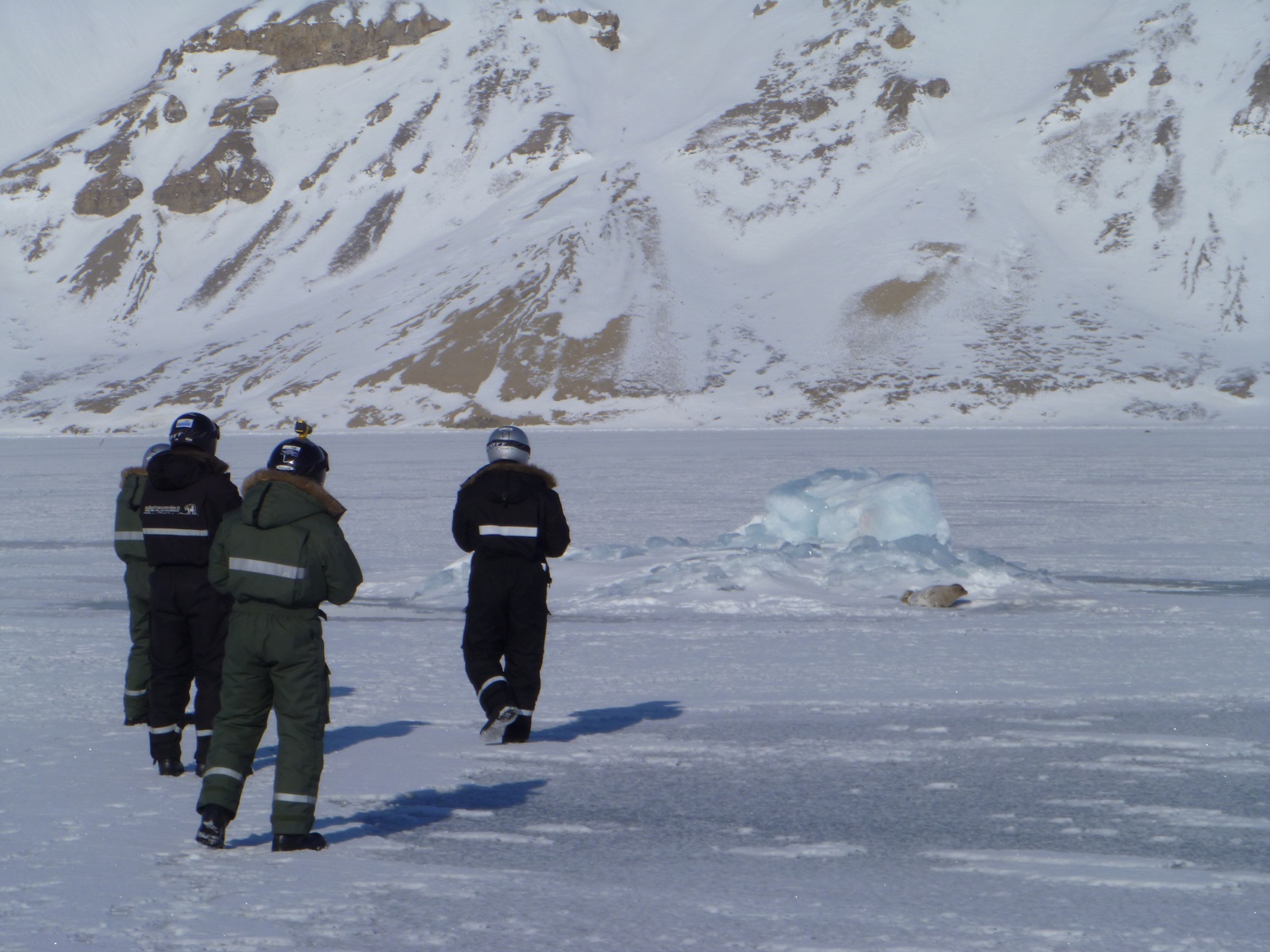 Snowmobile Expedition in the land of Polarbears 5 days - 4-6 Persons group - Image 4