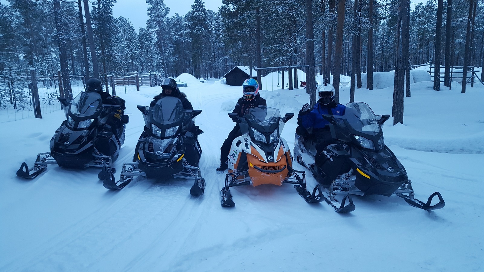 Barents Sea - Nordkyn - Finland 4 days Expedition - 4-6 Persons group - Image 2