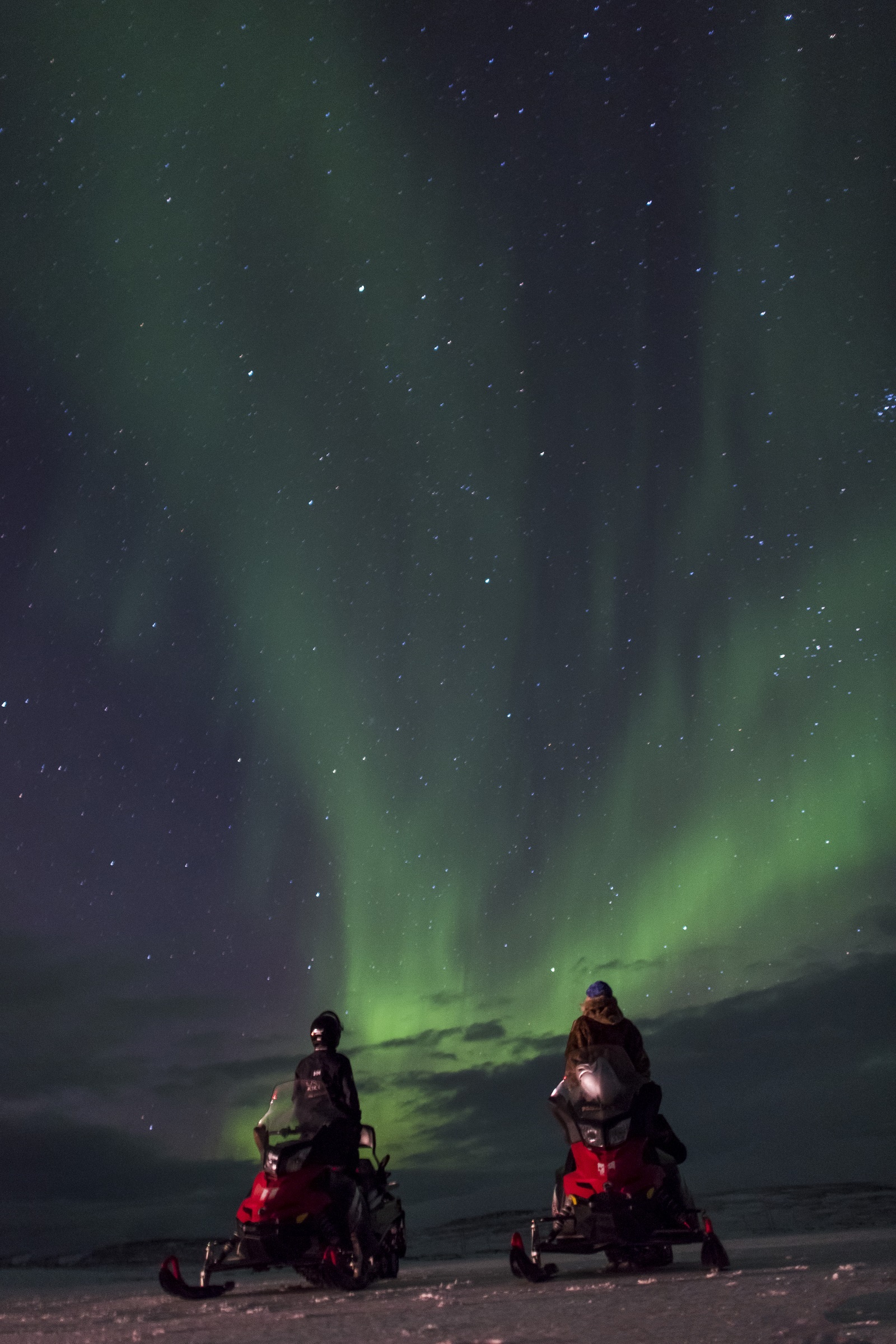 2 Hour Snowmobile Safari in the Polar Night - Image 4