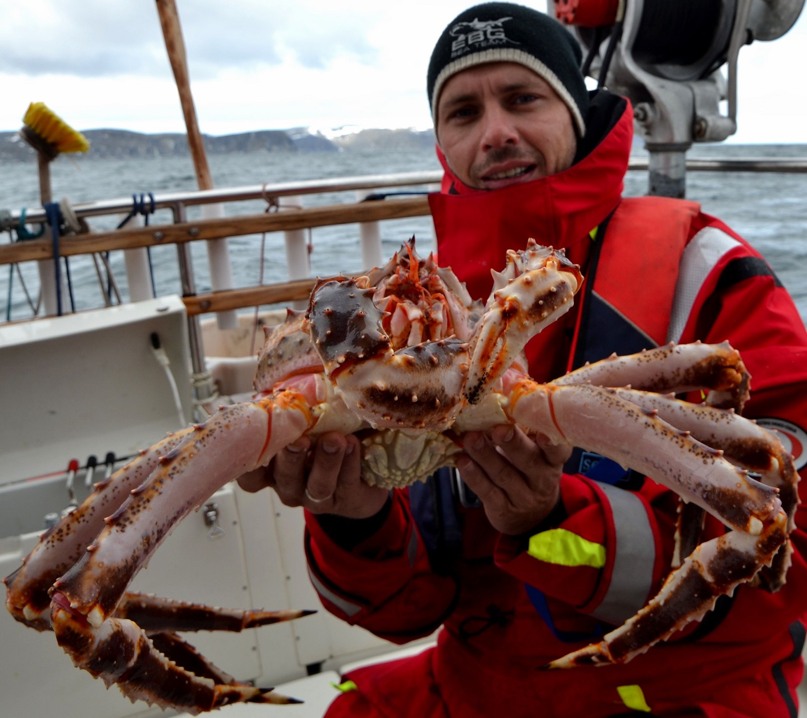 King Crab Safari