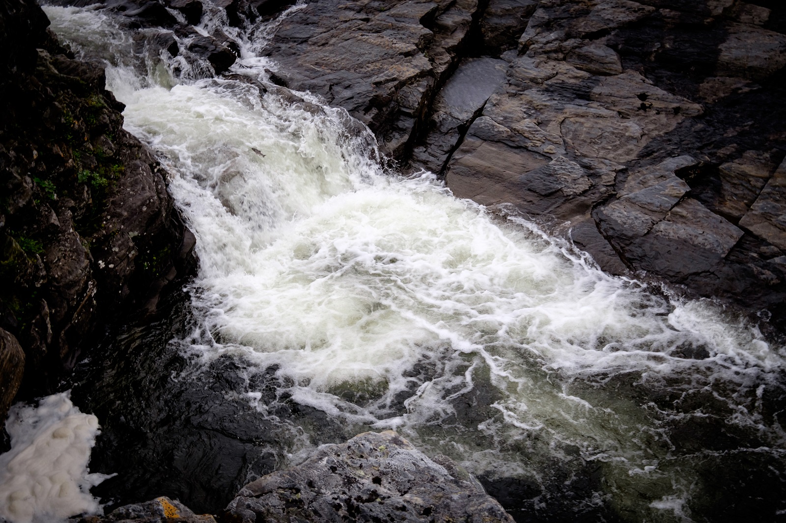 River Fishing - Image 7