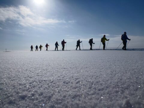 Skiing Safari