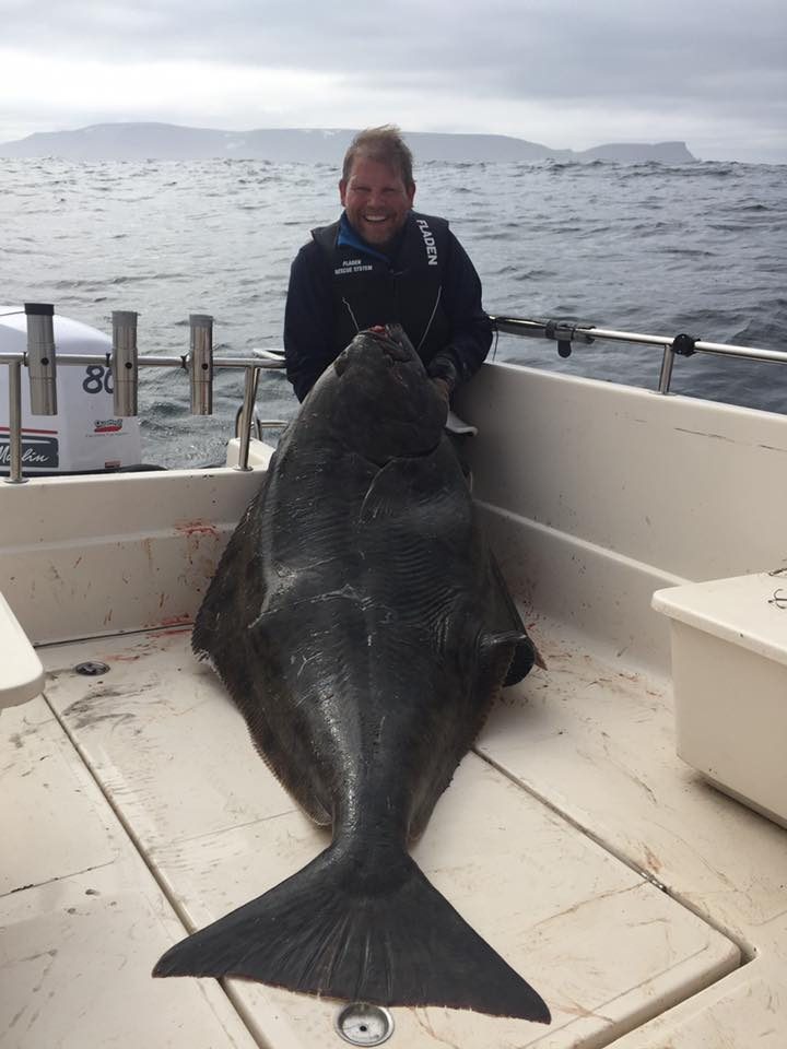 1 Week Deep Sea Fishing in Rorbu Cottages - Image 7